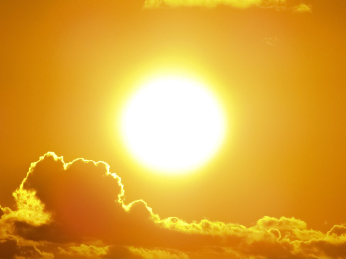 The Climate Of The Dinosaurs Was Not As Warm As We Thought It&nbsp;Was