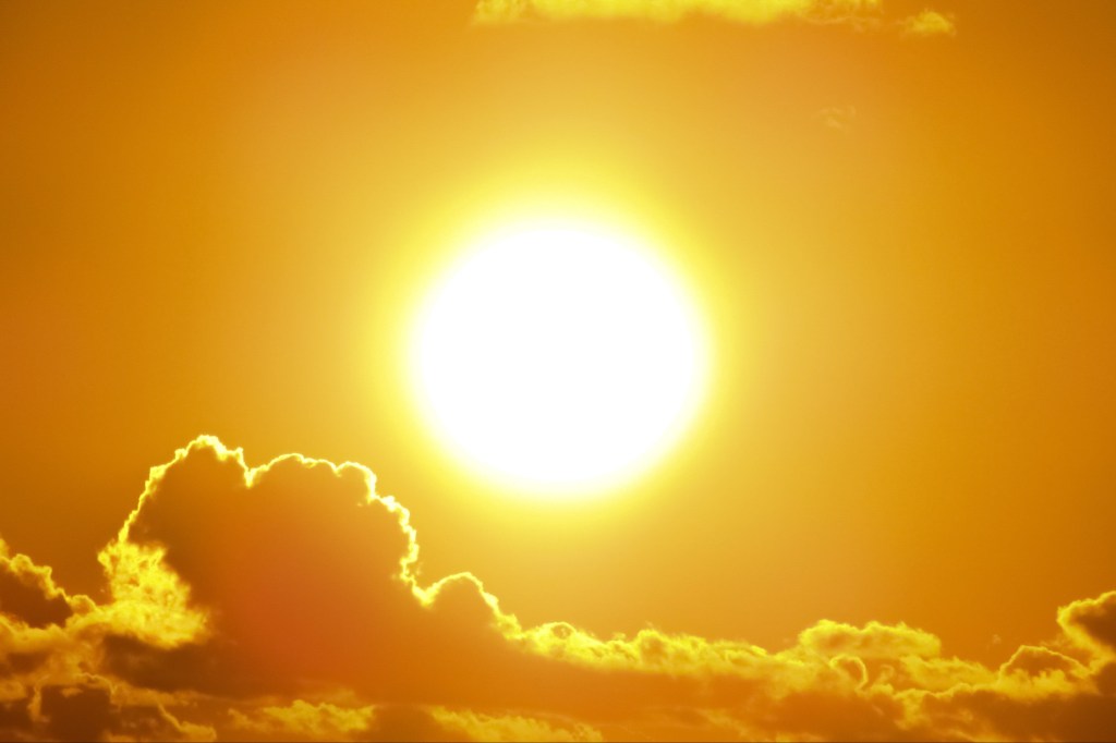 The Climate Of The Dinosaurs Was Not As Warm As We Thought It&nbsp;Was